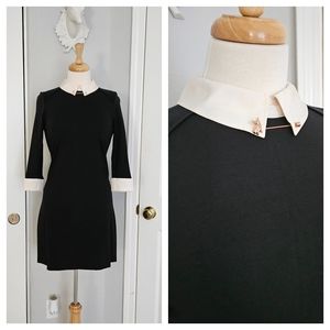 Lovely Black Ted Baker Mini Shift Dress with Pink Peter Pan Collar and Stick Pin